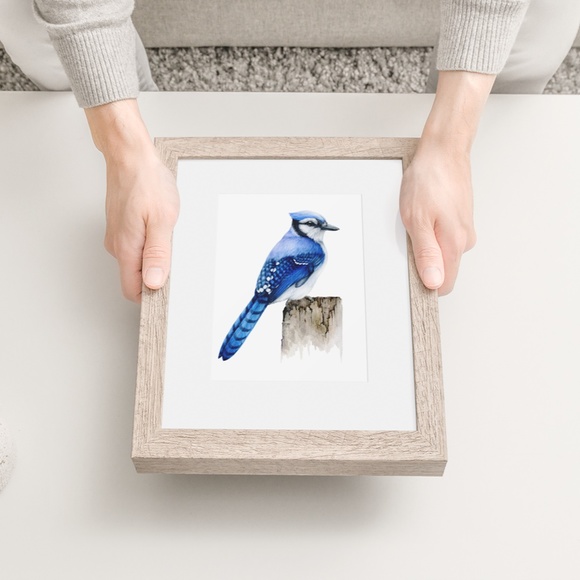 Blue Jay Bird Wall Art Watercolor Illustration Print Poster Card Unframed - Picture 7 of 7